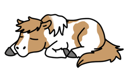 Osteopathy & Massage