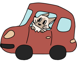 Transport