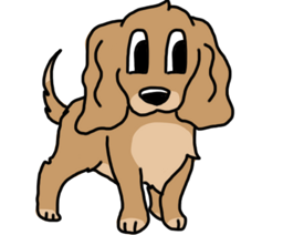 Services pour chiens