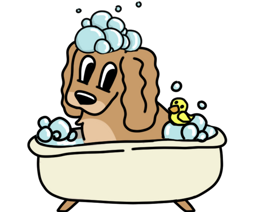 Grooming