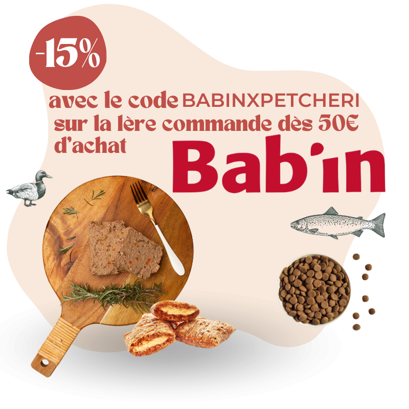 Bab'In