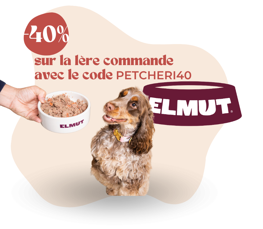 Elmut