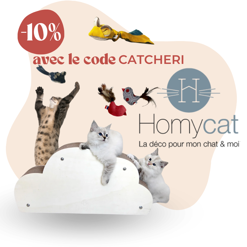 Homycat