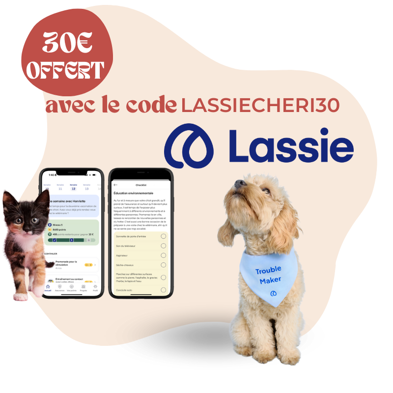 Lassie