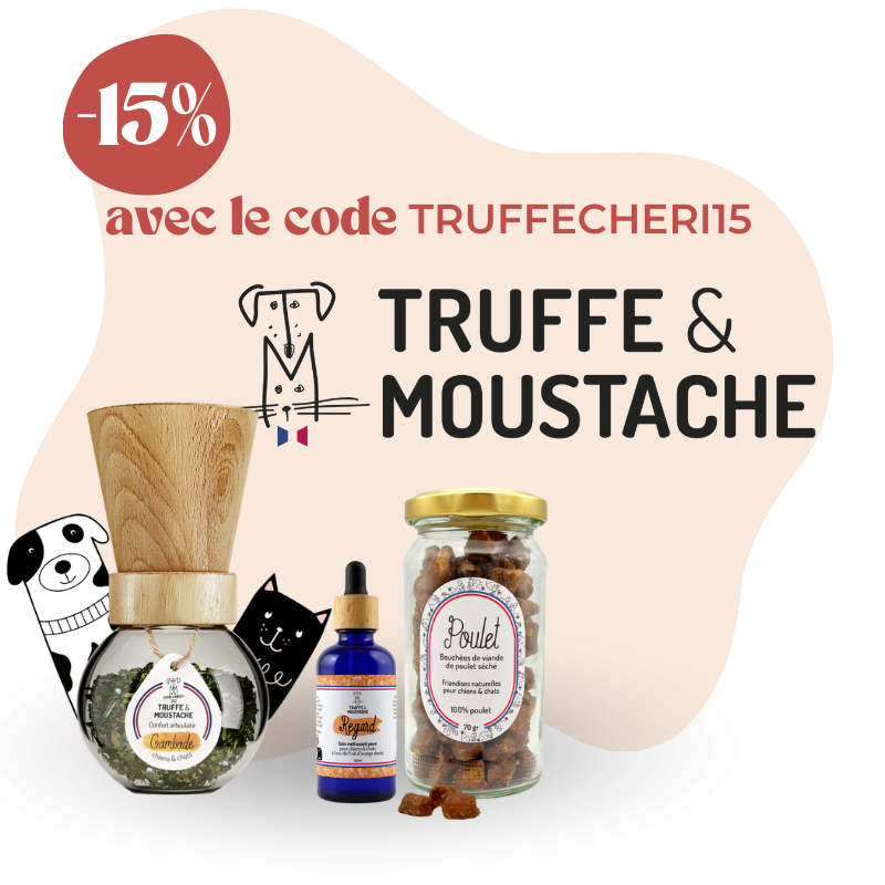Truffe & Moustache