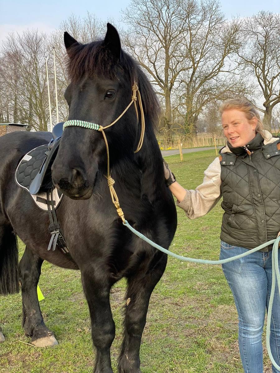 Horse and rider, bond of trust