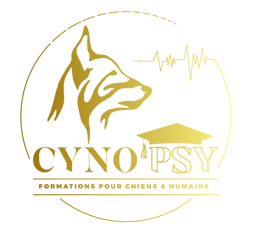 Cynopsy