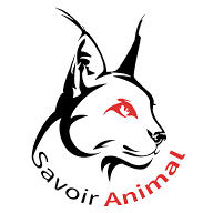 Savoir Animal