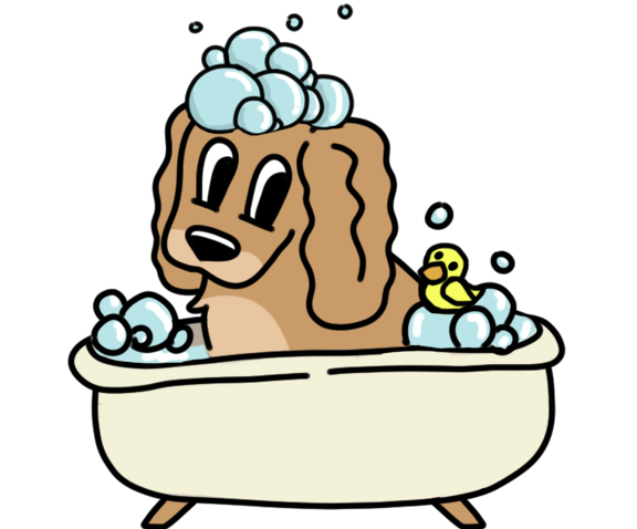Toilettage Chien - Chat - NAC - Equidé