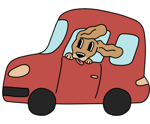 Transport