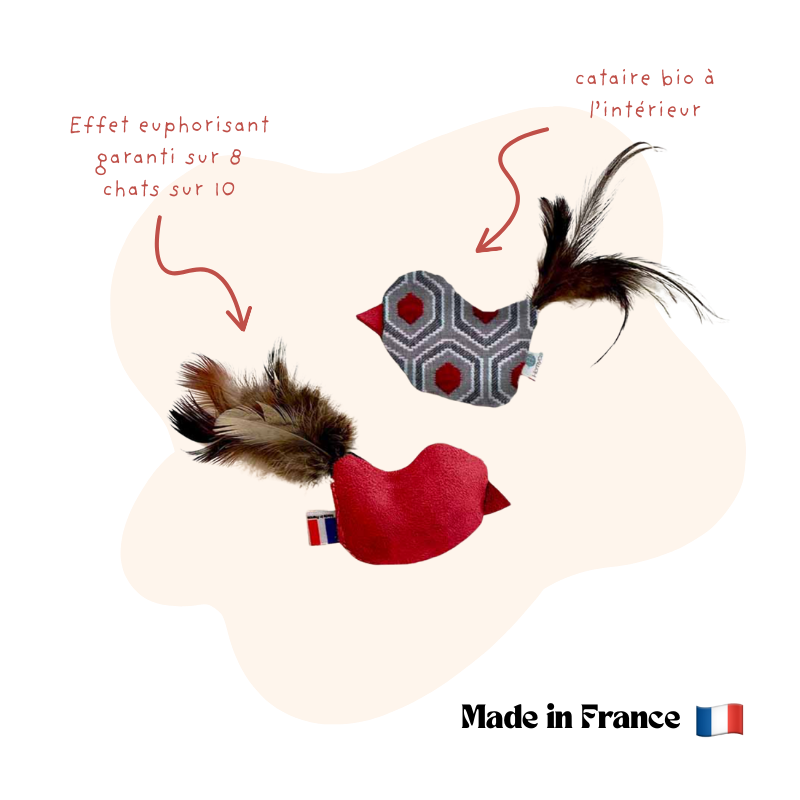 Jouet oiseau catnip Homycat