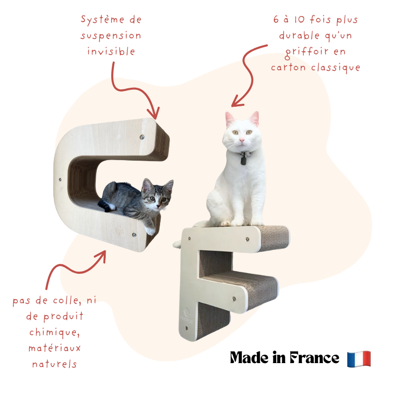 Parcours de lettres griffoirs Homycat